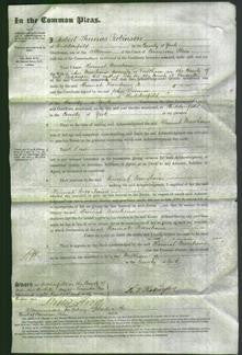 Court of Common Pleas - Hannah Moorhouse-Original Ancestry