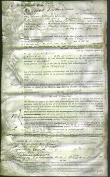 Court of Common Pleas - Elizabeth Charnley-Original Ancestry