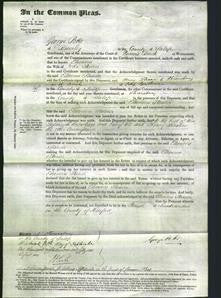 Court of Common Pleas - Eleonora Stanier-Original Ancestry