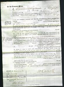 Court of Common Pleas - Elizabeth Spriggs-Original Ancestry