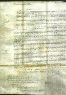 Court of Common Pleas - Elizabeth Hayward-Original Ancestry