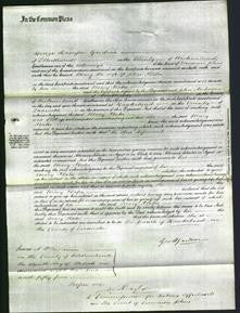 Court of Common Pleas - Mary Slater-Original Ancestry