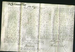 Court of Common Pleas - Elizabeth Westren-Original Ancestry