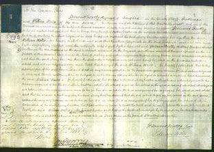 Court of Common Pleas - Mary Crabtree-Original Ancestry