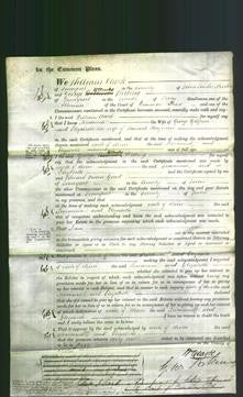 Court of Common Pleas - Susanna Gilpen and Elizabeth Hayman-Original Ancestry