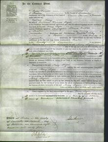 Court of Common Pleas - Mary Segar-Original Ancestry