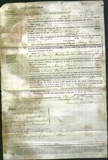 Court of Common Pleas - Mary Teevan-Original Ancestry