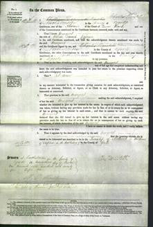 Court of Common Pleas - Margaret Jefferson-Original Ancestry