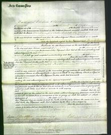 Court of Common Pleas - Ann Edilill-Original Ancestry