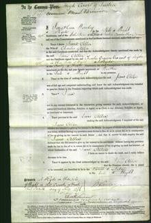 Court of Common Pleas - Jane Allen-Original Ancestry