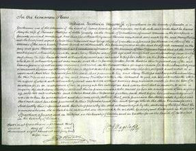 Court of Common Pleas - Mary Phillips-Original Ancestry