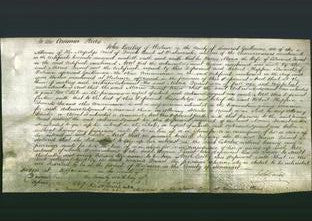 Court of Common Pleas - Maria Quant-Original Ancestry