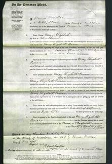 Court of Common Pleas - Mary Elizabeth Peacan-Original Ancestry