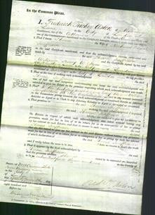 Court of Common Pleas - Therese Jeaffreson-Original Ancestry