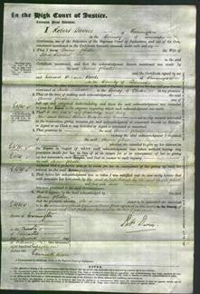 Court of Common Pleas - Annie Phoebe Brereton-Original Ancestry