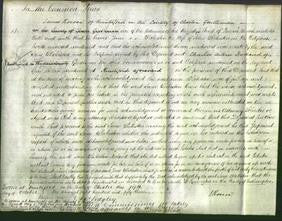 Court of Common Pleas - Jane Blakiston-Original Ancestry