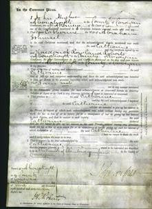 Court of Common Pleas - Catherine Ishmael-Original Ancestry
