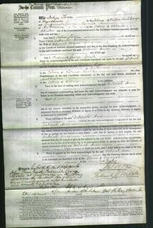 Court of Common Pleas - Deborah Ann Sayce-Original Ancestry