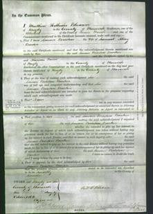 Court of Common Pleas - Susan Bristow Burton-Original Ancestry