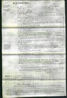 Court of Common Pleas - Susannah Byrne-Original Ancestry