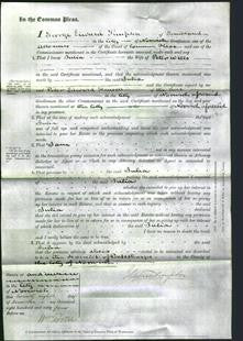 Court of Common Pleas - Julia Wells-Original Ancestry