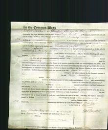 Court of Common Pleas - Jane Mundey-Original Ancestry