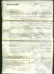 Court of Common Pleas - Elizabeth Sparrow-Original Ancestry