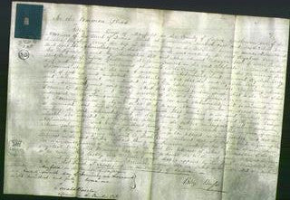 Court of Common Pleas - Elizabeth Errey-Original Ancestry