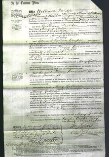 Court of Common Pleas - Mary Golledge-Original Ancestry