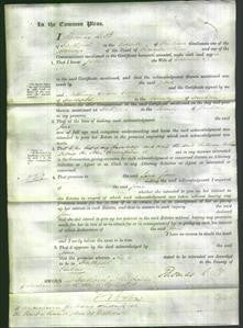 Court of Common Pleas - Jane Spence-Original Ancestry