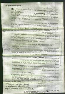 Court of Common Pleas - Anne Roberts-Original Ancestry