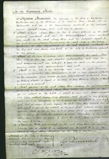 Court of Common Pleas - Mary Ann Johnson-Original Ancestry