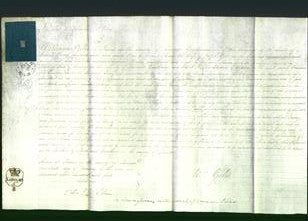 Court of Common Pleas - Maria Giles-Original Ancestry