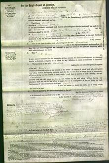 Court of Common Pleas - Caroline O'neil-Original Ancestry