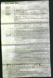 Court of Common Pleas - Sarah Bales-Original Ancestry