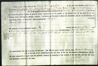 Deed by Married Women - Bridget Stevenson-Original Ancestry