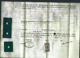 Appointment of Special Commissioners - William Davis, Robert Davis, H. C. Ellman, John P. Reed Junior and Henry Rankin Freeland-Original Ancestry