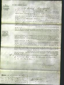 Court of Common Pleas - Catherine Williams-Original Ancestry