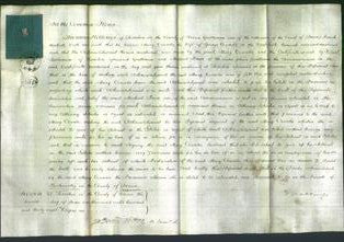 Court of Common Pleas - Mary Coombe-Original Ancestry