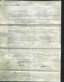 Court of Common Pleas - Mary Salt-Original Ancestry