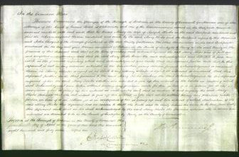 Court of Common Pleas - Mary Hicks-Original Ancestry
