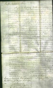 Court of Common Pleas - Elizabeth Emmett and Caroline Green-Original Ancestry
