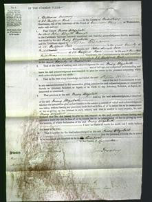 Court of Common Pleas - Mary Elizabeth Brough-Original Ancestry