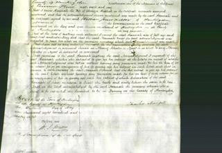 Court of Common Pleas - Hannah Harlock-Original Ancestry