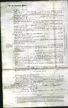 Court of Common Pleas - Maria Saunders-Original Ancestry