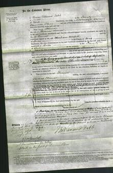 Court of Common Pleas - Eleanor Senior-Original Ancestry