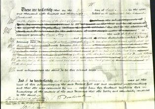 Deed by Married Women - Susan Mary Martyn Williams-Original Ancestry