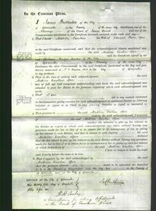 Court of Common Pleas - Matilda Caroline Spier-Original Ancestry