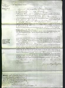 Court of Common Pleas - Sarah Mullins-Original Ancestry