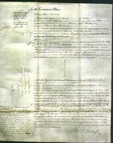 Court of Common Pleas - Jemima Sarah Blackwood-Original Ancestry